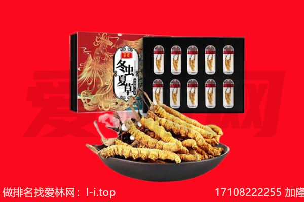 焦作市解放回收虫草.jpg
